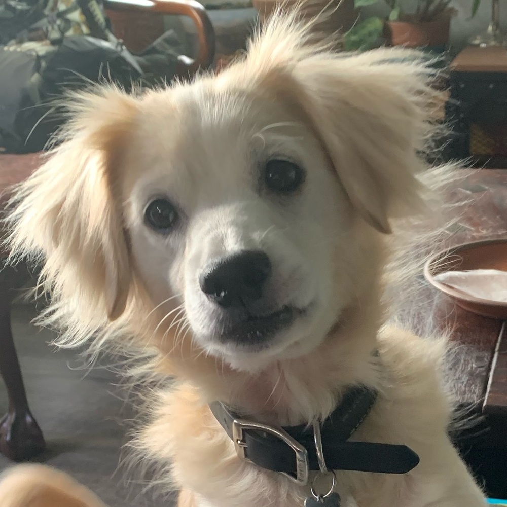 Meet your Posher, Arina